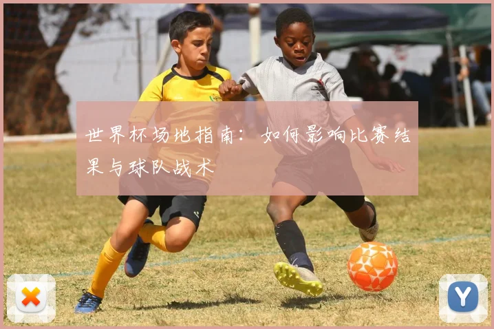 世界杯场地指南:如何影响比赛结果与球队战术