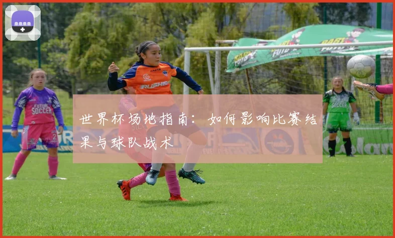 世界杯场地指南:如何影响比赛结果与球队战术